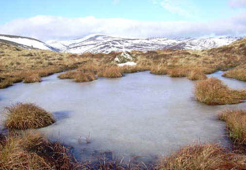 10-frozen-pond3.jpg (62358 bytes)